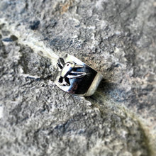 Cargar imagen en el visor de la galería, Anillo Colibrí alas abiertas sencillo
