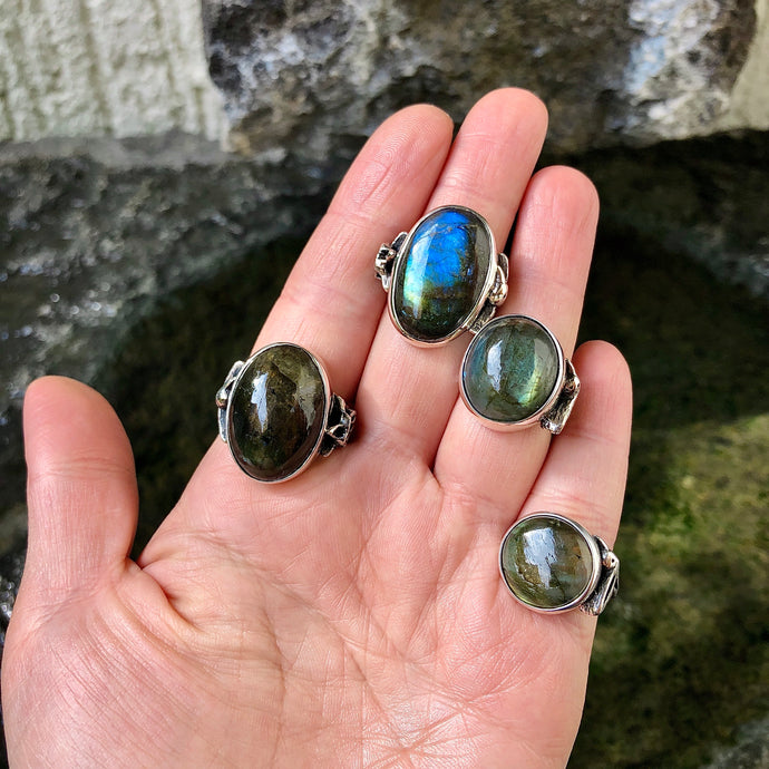 2. Ejemplos Anillo colibrí personalizado 1